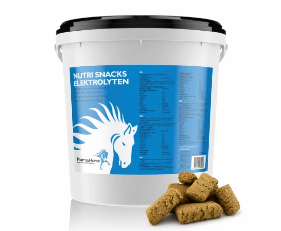 PharmaHorse Nutri Snacks Elektrolit jutalomfalat lovaknak – elektrolitos egészséges snack